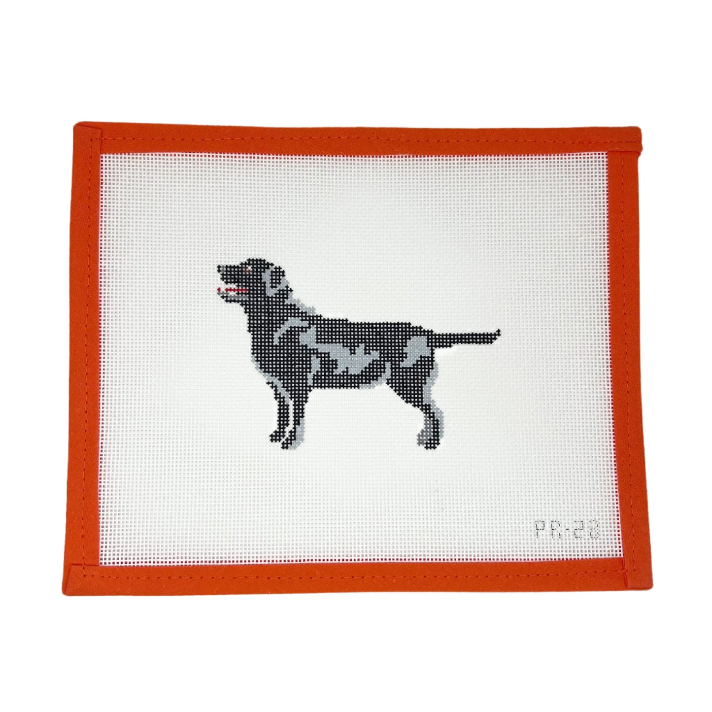 Black Labrador