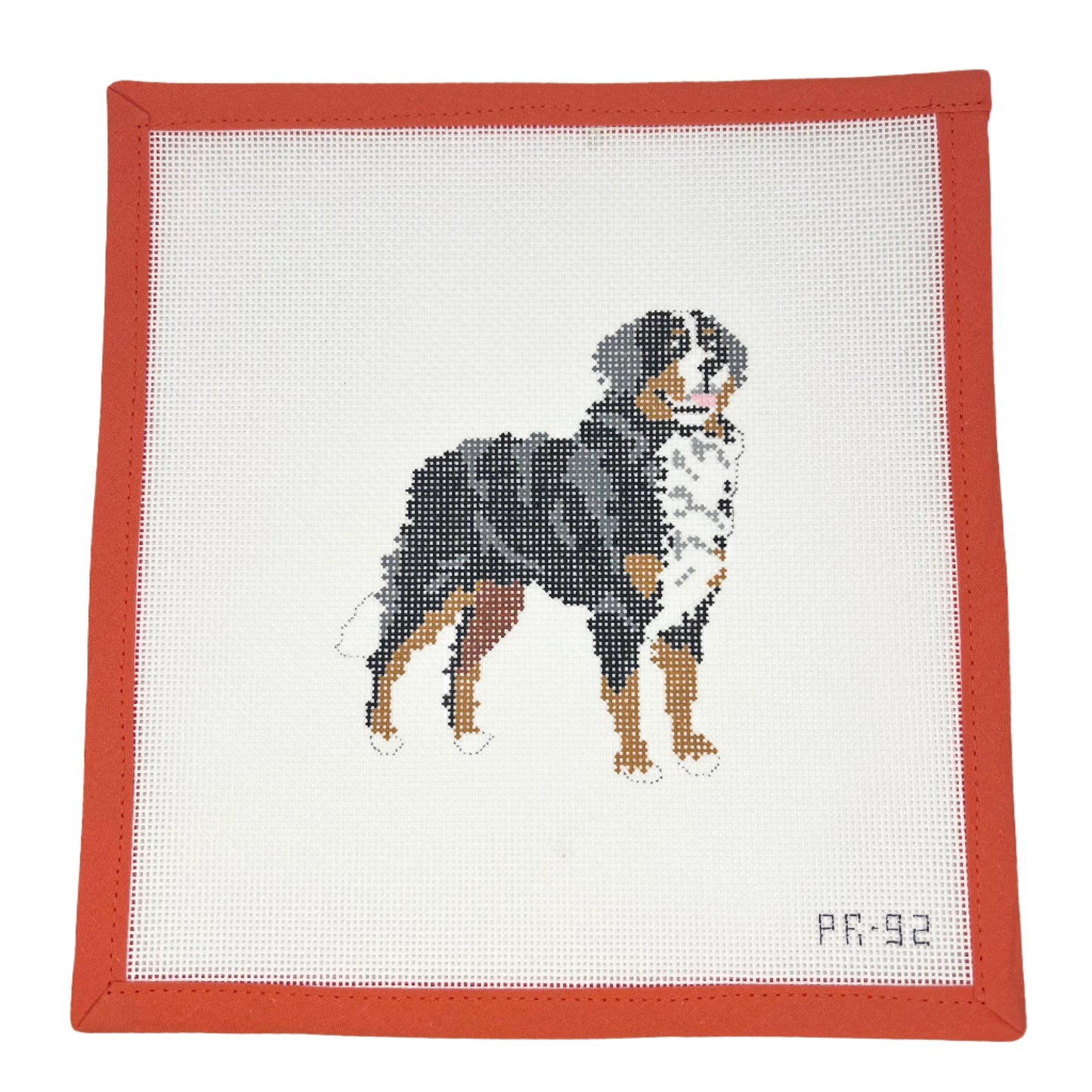 Bernese Mountain Dog