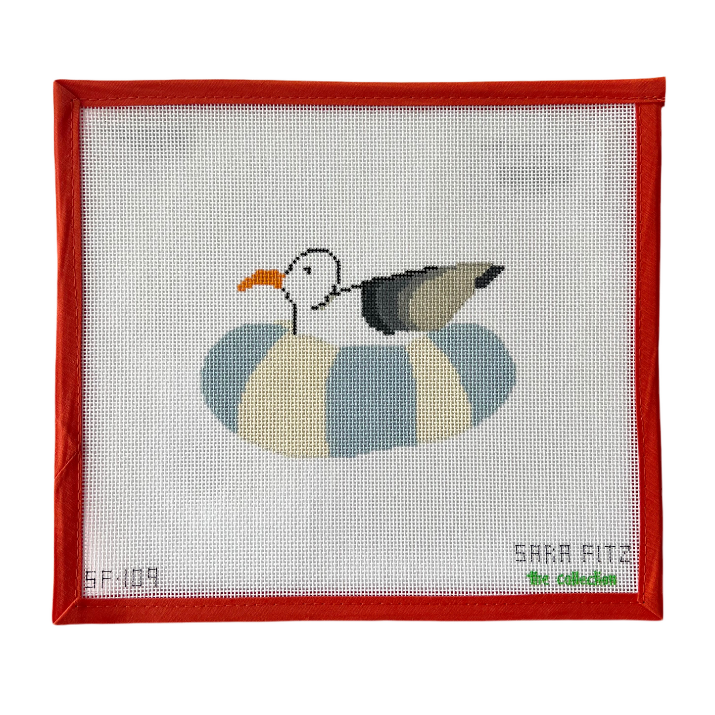 Seagull on Inner Tube
