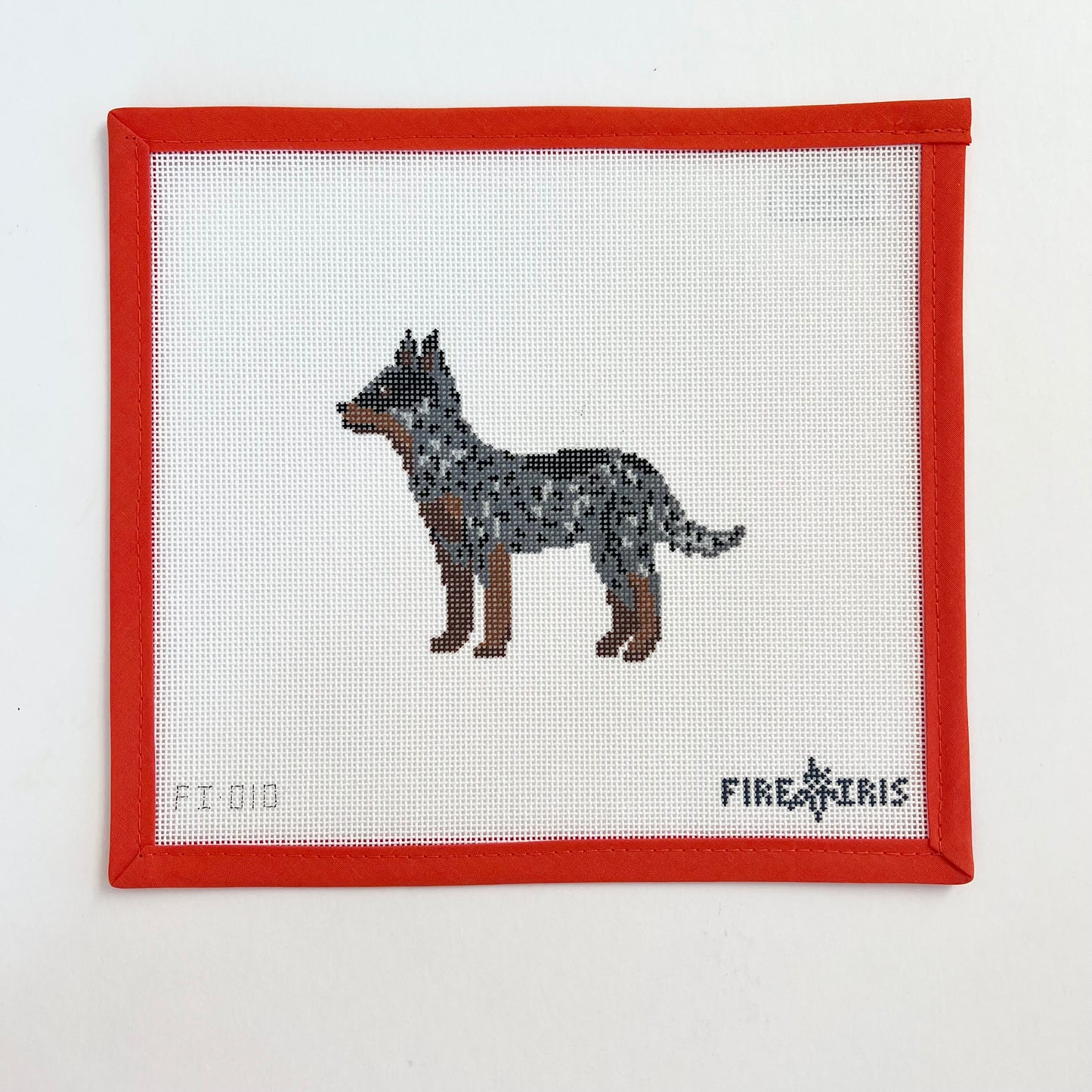The Cali Cattle Dog - Blue Heeler