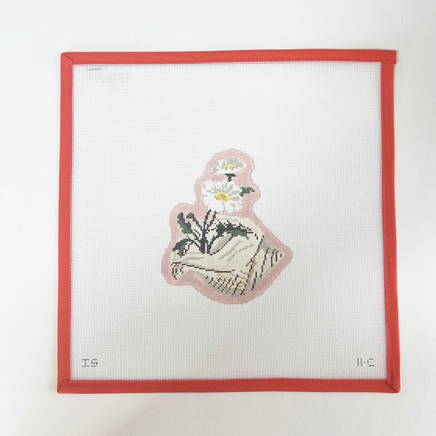 Floral Shell Series - Daises