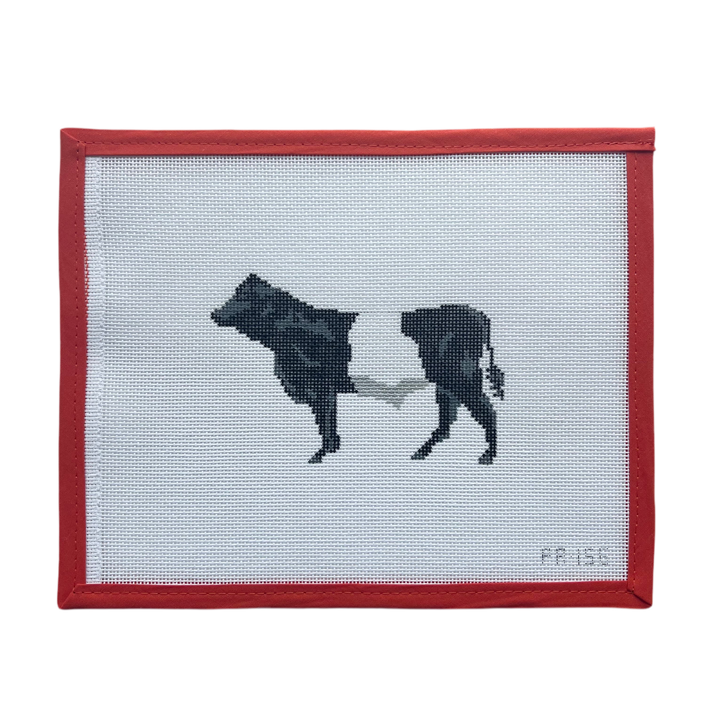 Belted Galloway