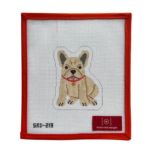French Bull Dog