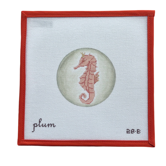 Seahorse