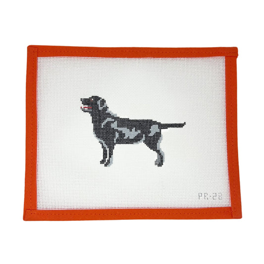 Black Labrador