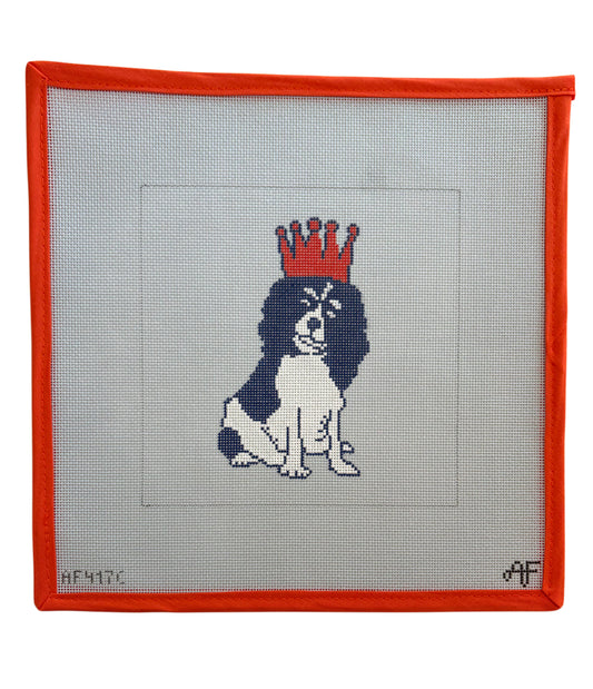 Cavalier King Charles - C