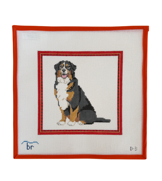 Bernese Mountain Dog - Red Frame