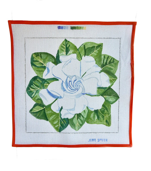 Gardenia