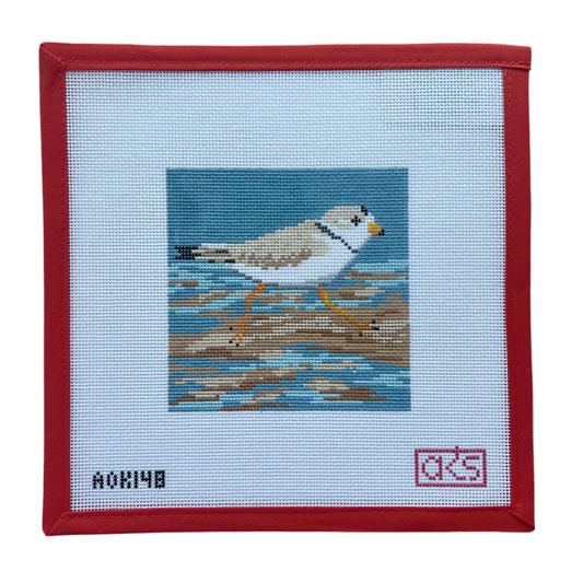 Piping Plover Coaster
