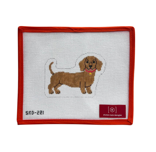 Dachshund