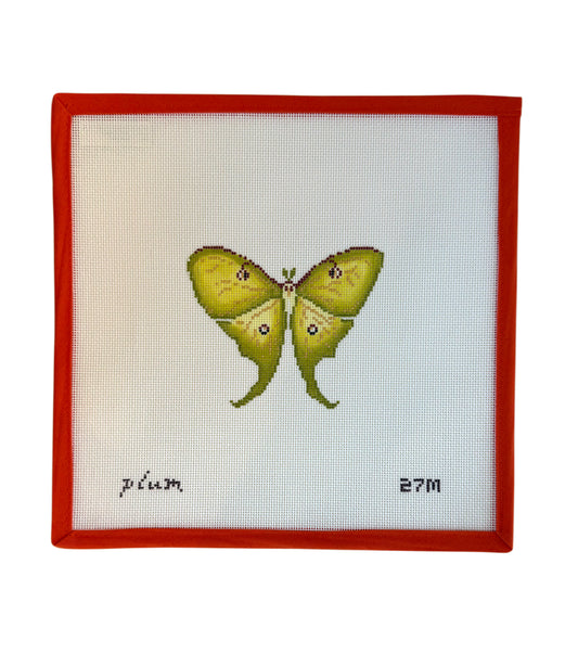 Luna Moth