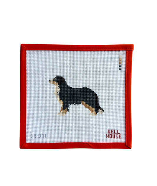 Bernese Mountain Dog