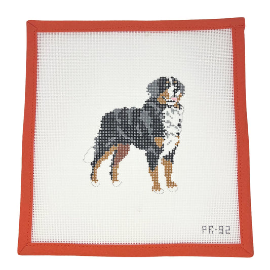 Bernese Mountain Dog