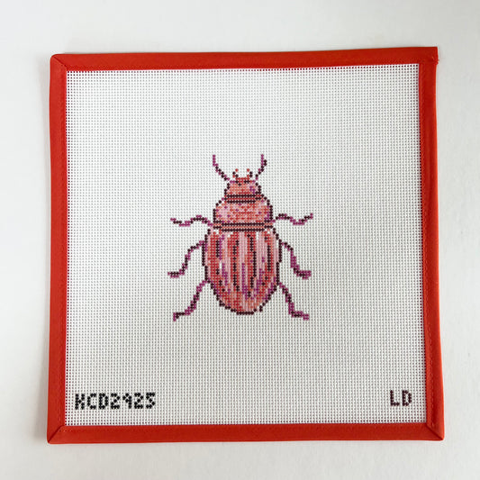 Pink Beetle