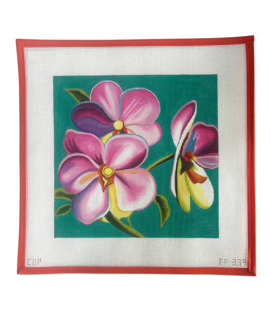 Vibrant Flowers