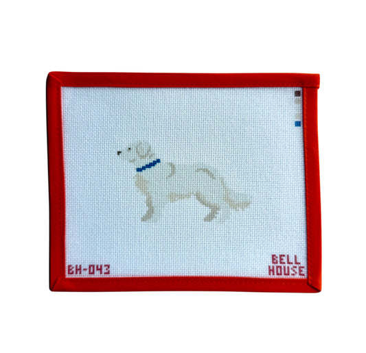 English Cream Golden Retriever