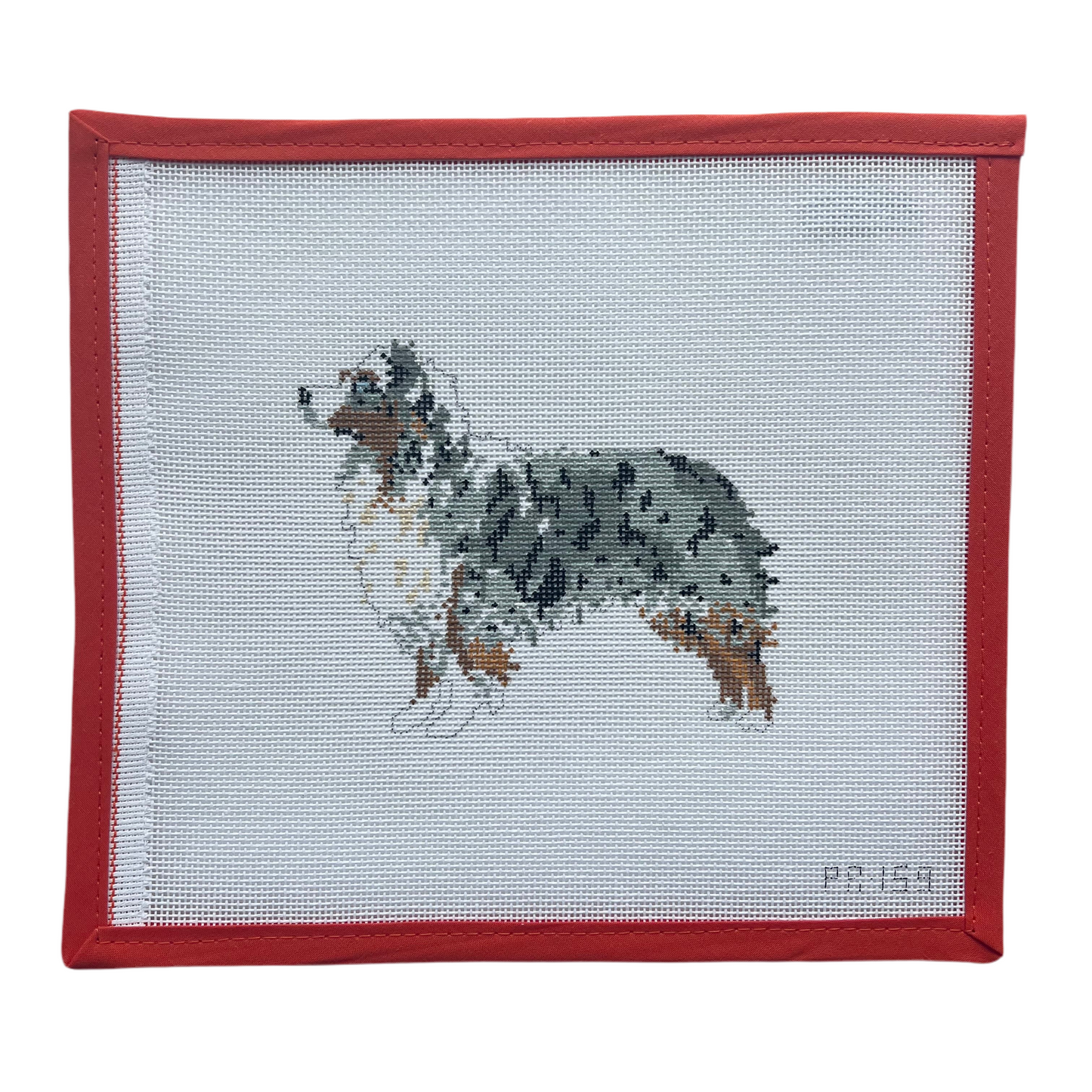 Australian Shepherd