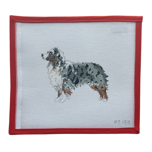 Australian Shepherd
