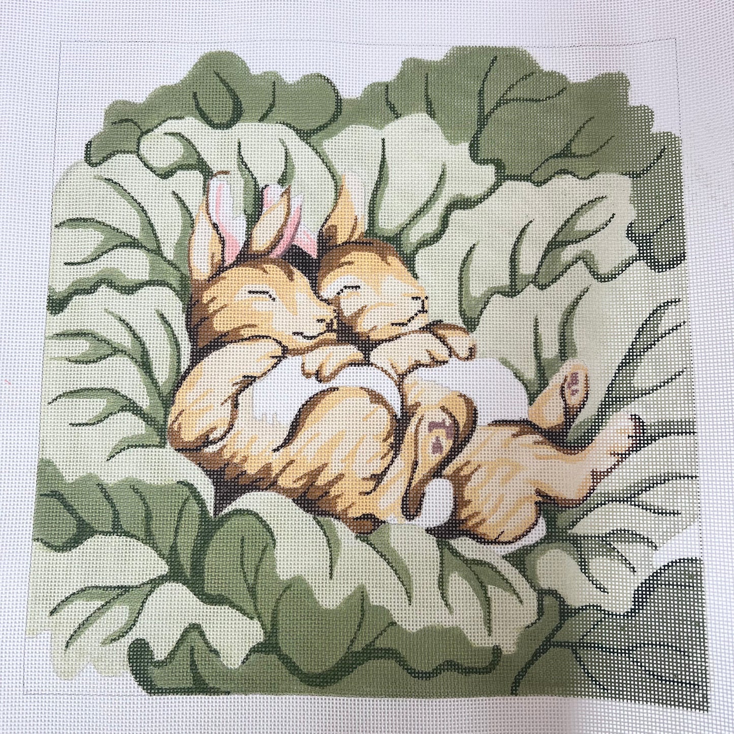 Napping Bunnies