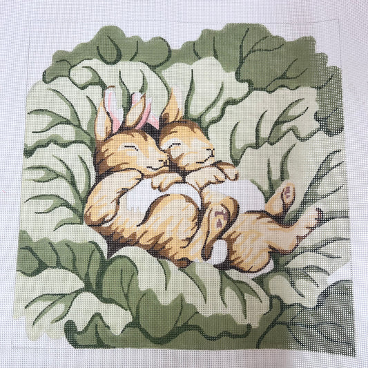 Napping Bunnies