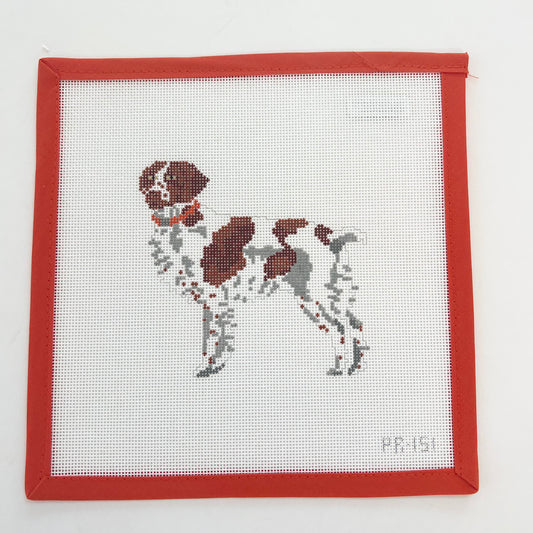 Brittany Spaniel