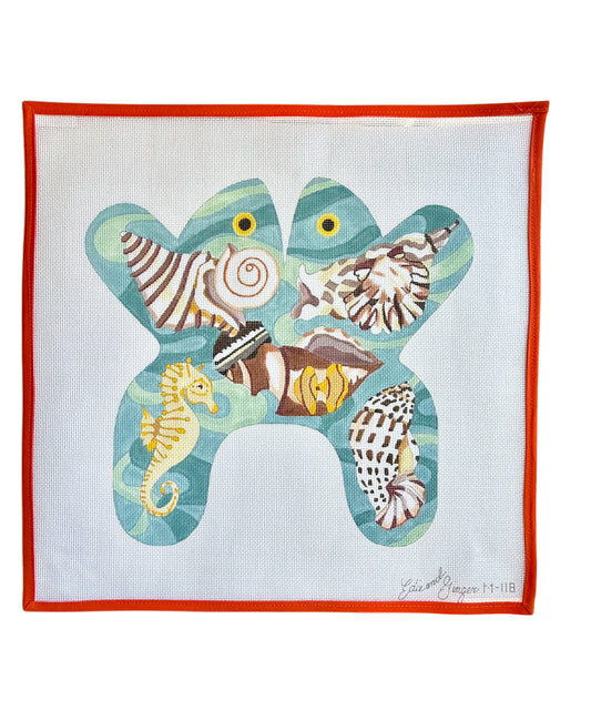 Shells and Water Frog