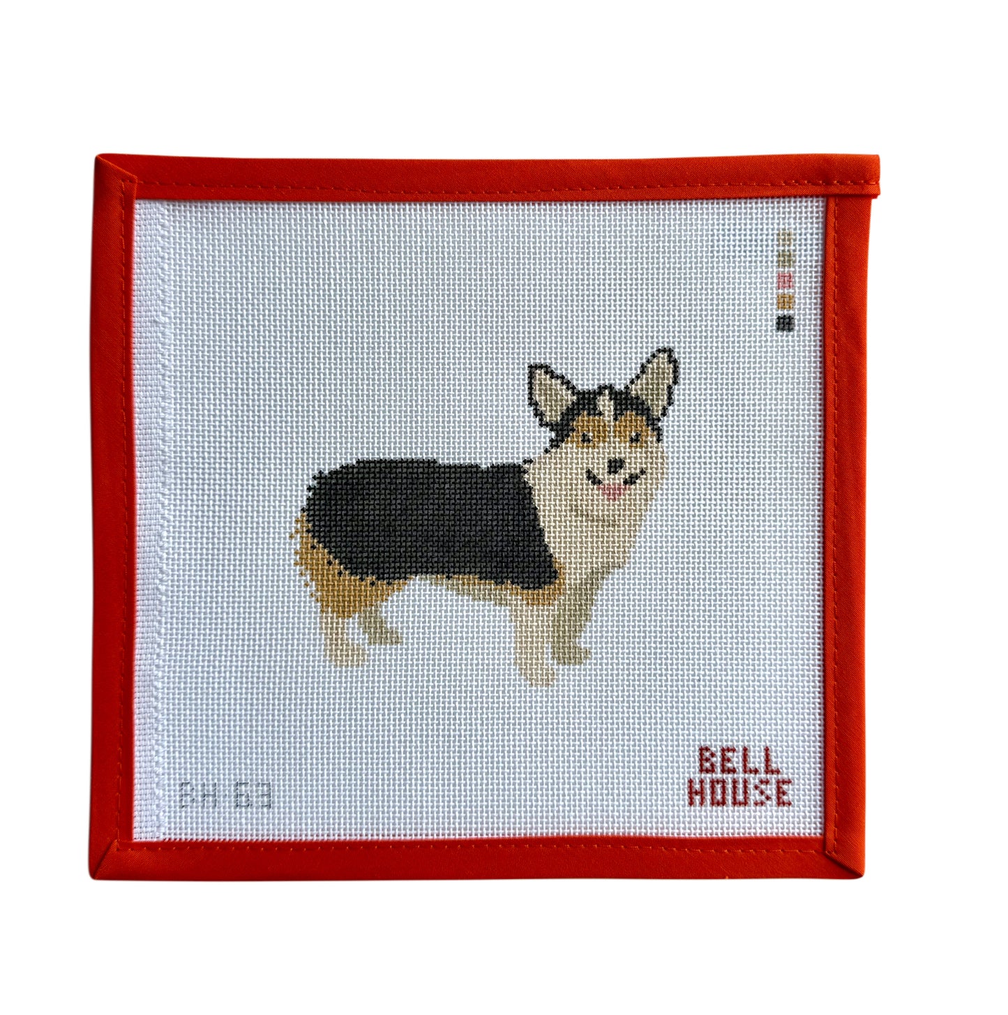 Corgi - Tricolor