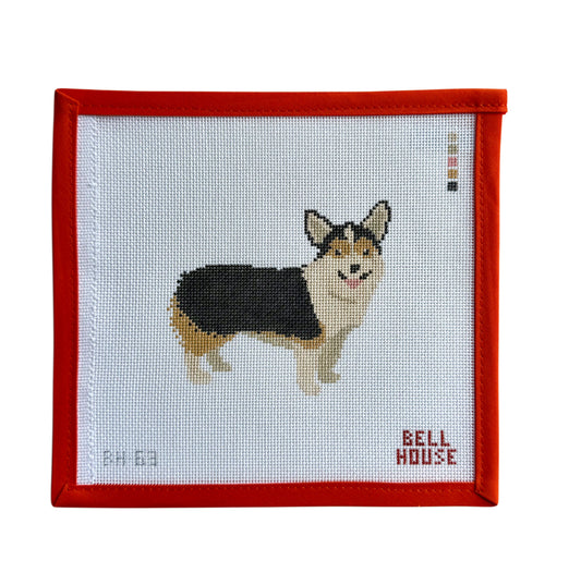 Corgi - Tricolor