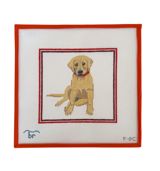 Yellow Lab Red Frame