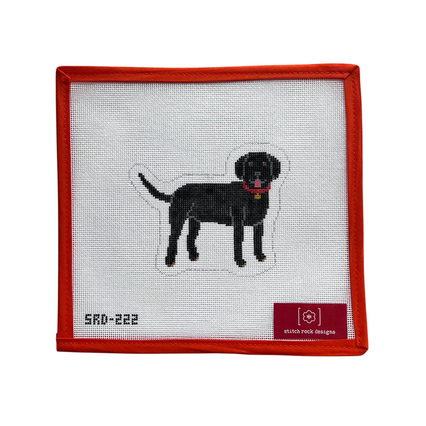 Black Labrador