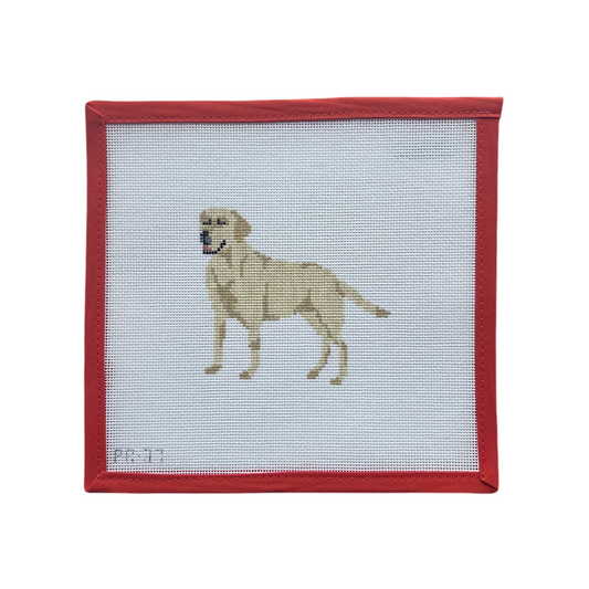 Yellow Lab