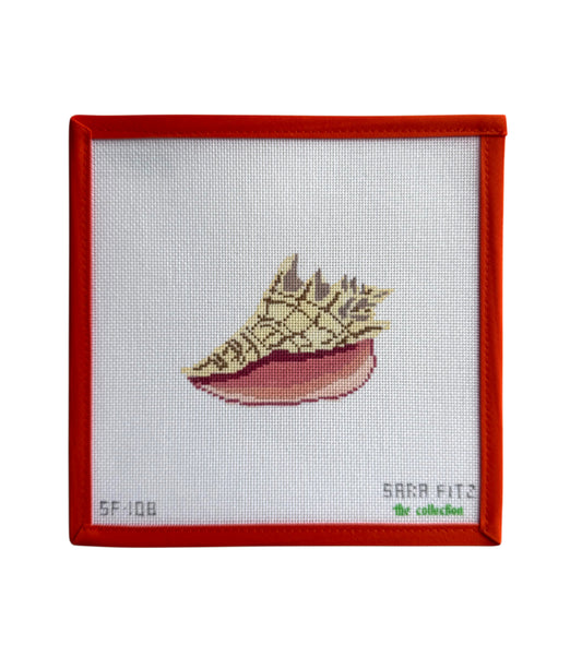 Conch Shell