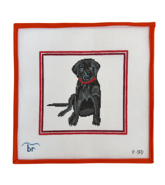 Black Lab Red Frame