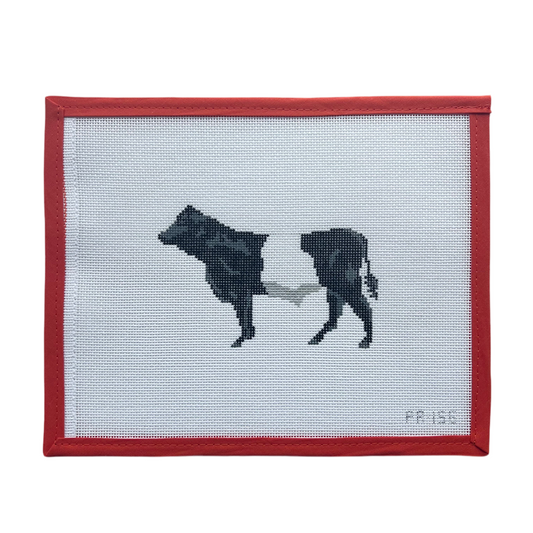 Belted Galloway